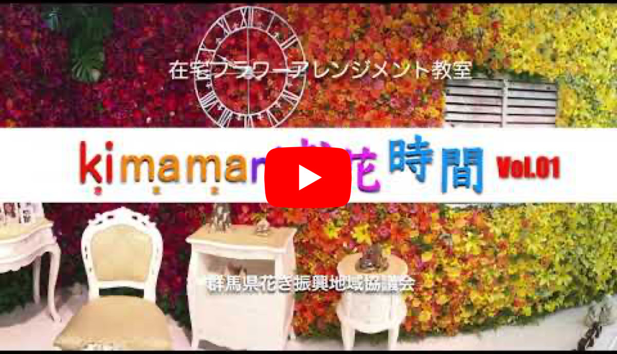 ビデオ 動画を再生